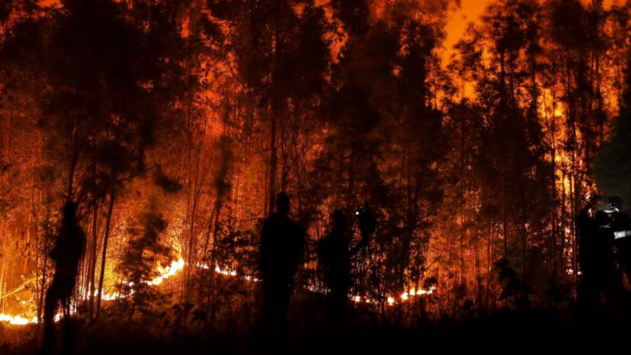 Drama in Chile: the toll of the forest fires increases, at least 23 people have lost their lives, Magnate Daily