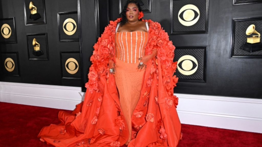 The most striking looks of the Grammy Awards, Magnate Daily
