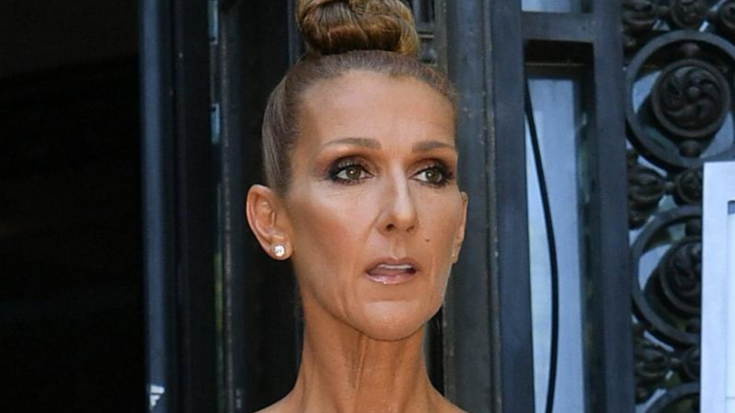 The enormous sum spent by Céline Dion on her medical care, Magnate Daily
