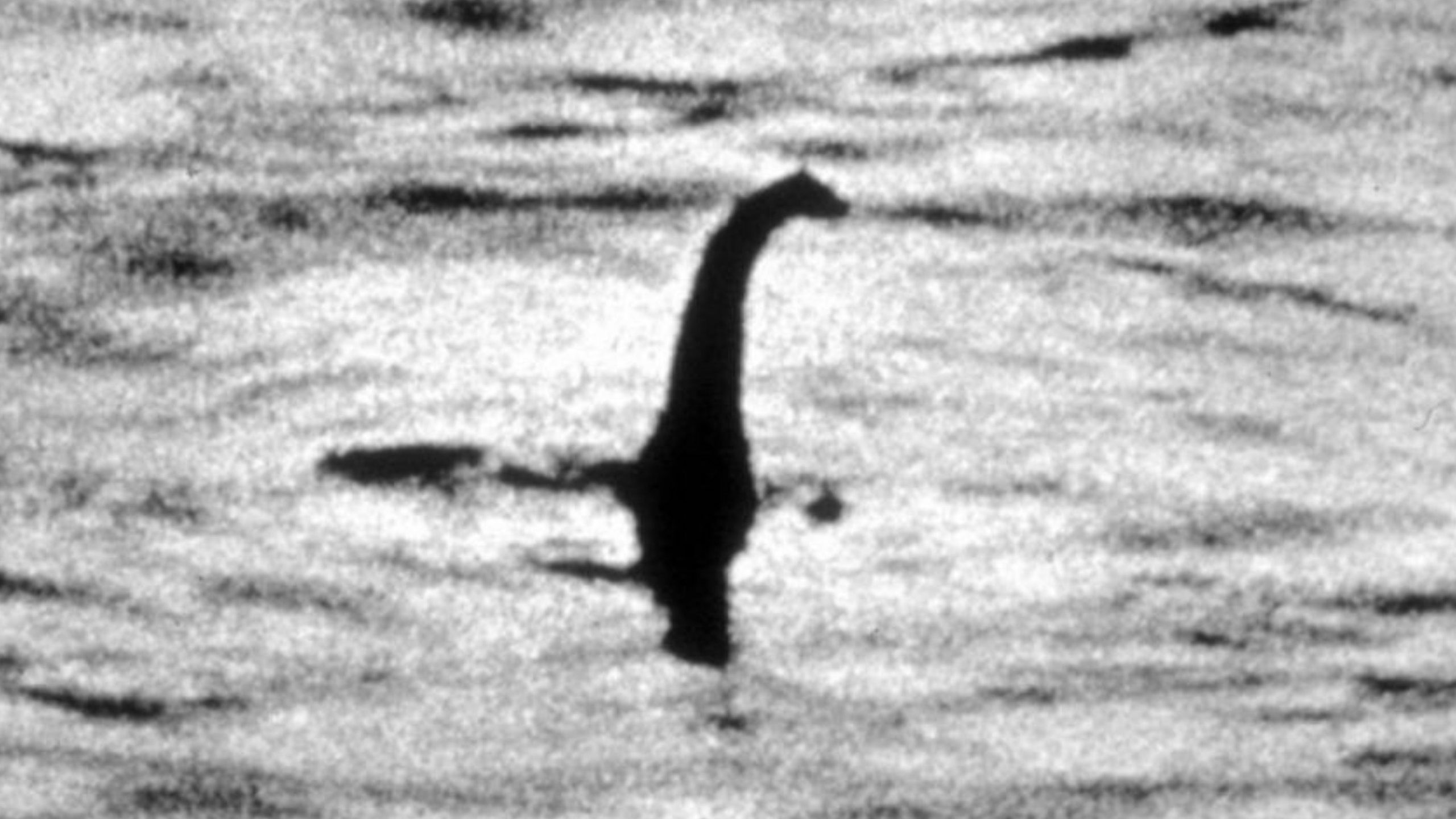 The mystery of &#8220;Nessie&#8221; remains: the biggest hunt for the Loch Ness monster in 50 years has come to an end., Magnate Daily